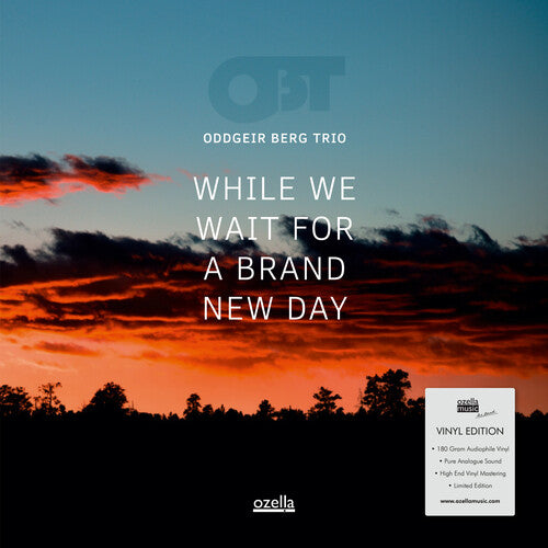 Oddgeir Berg Trio - While We Wait For A Brand New Day Vinyl Record