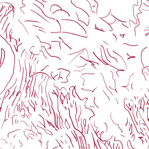 Tom Skinner - Voices Of Bishara Vinyl Record