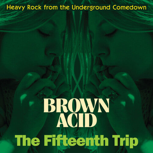 Various Artists - Brown Acid - The Fifteenth Trip Vinyl Record
