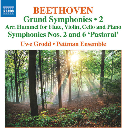 Beethoven / Grodd / Pettman Ensemble - Grand Symphonies Vol 2 - Nos 2 & 6 - Music CD