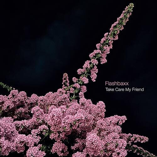 Flashbaxx - Take Care My Friend Vinyl Record
