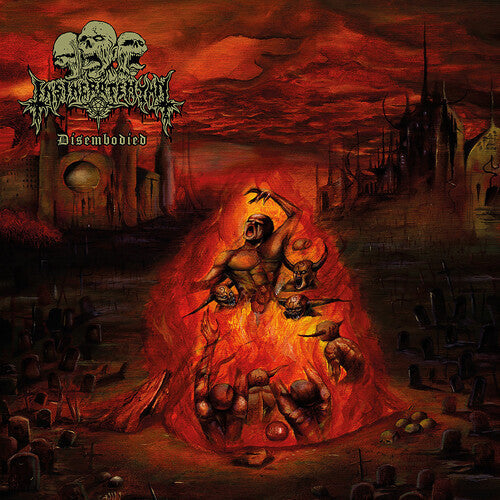 Insineratehymn - Disembodied Vinyl Record