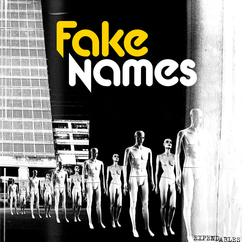 the album cover for Fake Names - Expendables