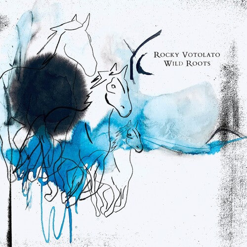 Rocky Votolato - Wild Roots Vinyl Record