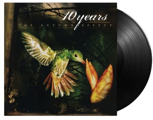 10 Years - Autumn Effect Vinyl Record