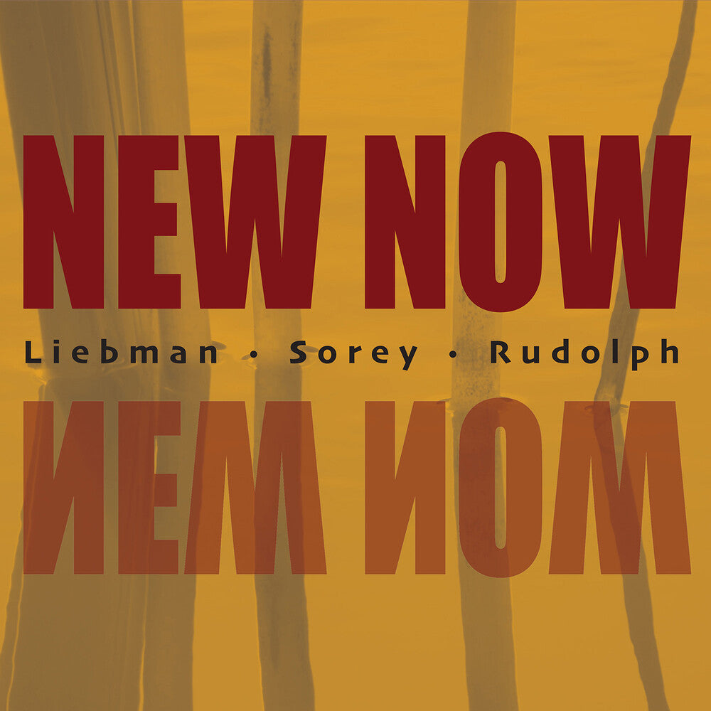 the album cover for Dave Liebman / Rudolph,Adam / Sorey,Tyshawn - New Now