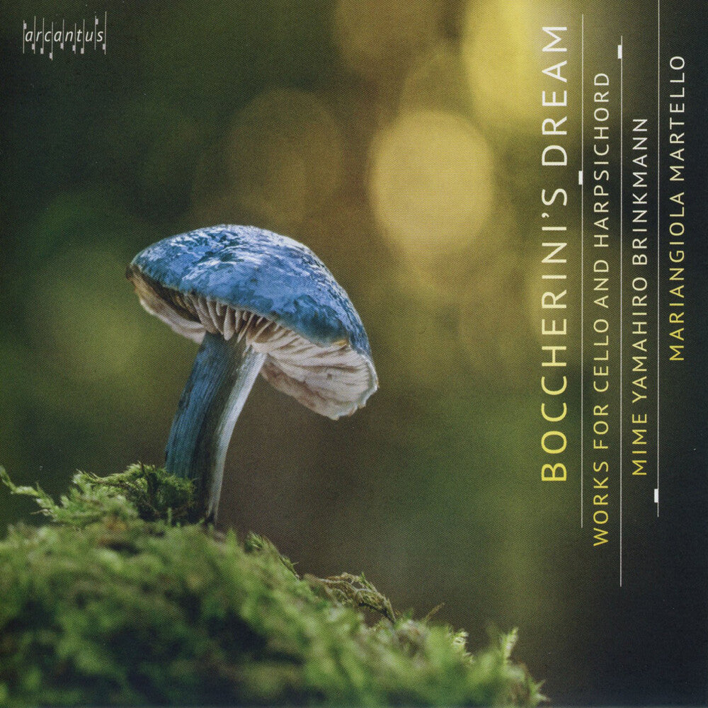 the album cover for Boccherini / Brinkmann / Martello - Boccherini's Dream