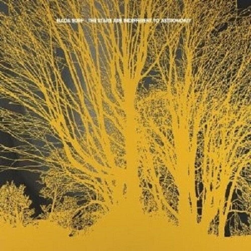 Nada Surf - Stars Are Indifferent To Astronomy Vinyl Record