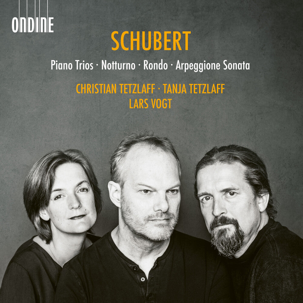 the album cover for Schubert / Tetzlaff / Vogt - Piano Trios Notturno