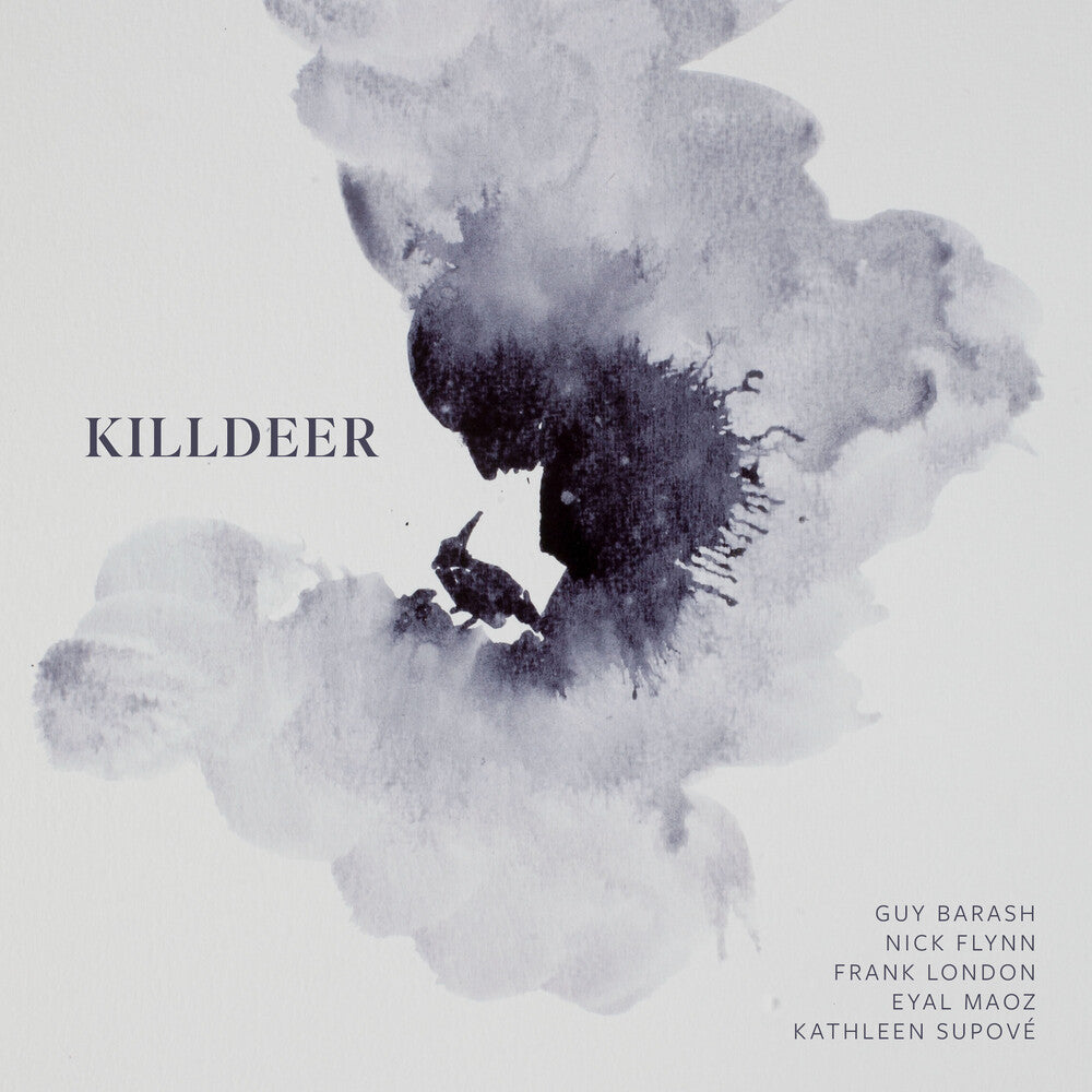 the album cover for Barash / Flynn / London - Killdeer