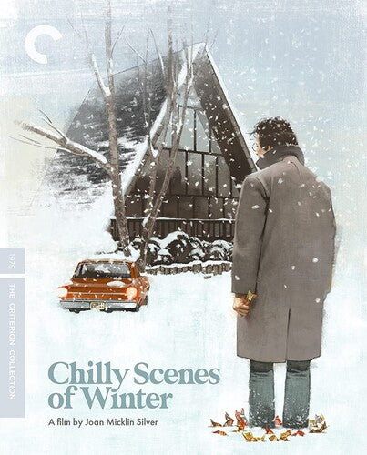 Criterion Collection - Chilly Scenes Of Winter/bd - Blu-ray