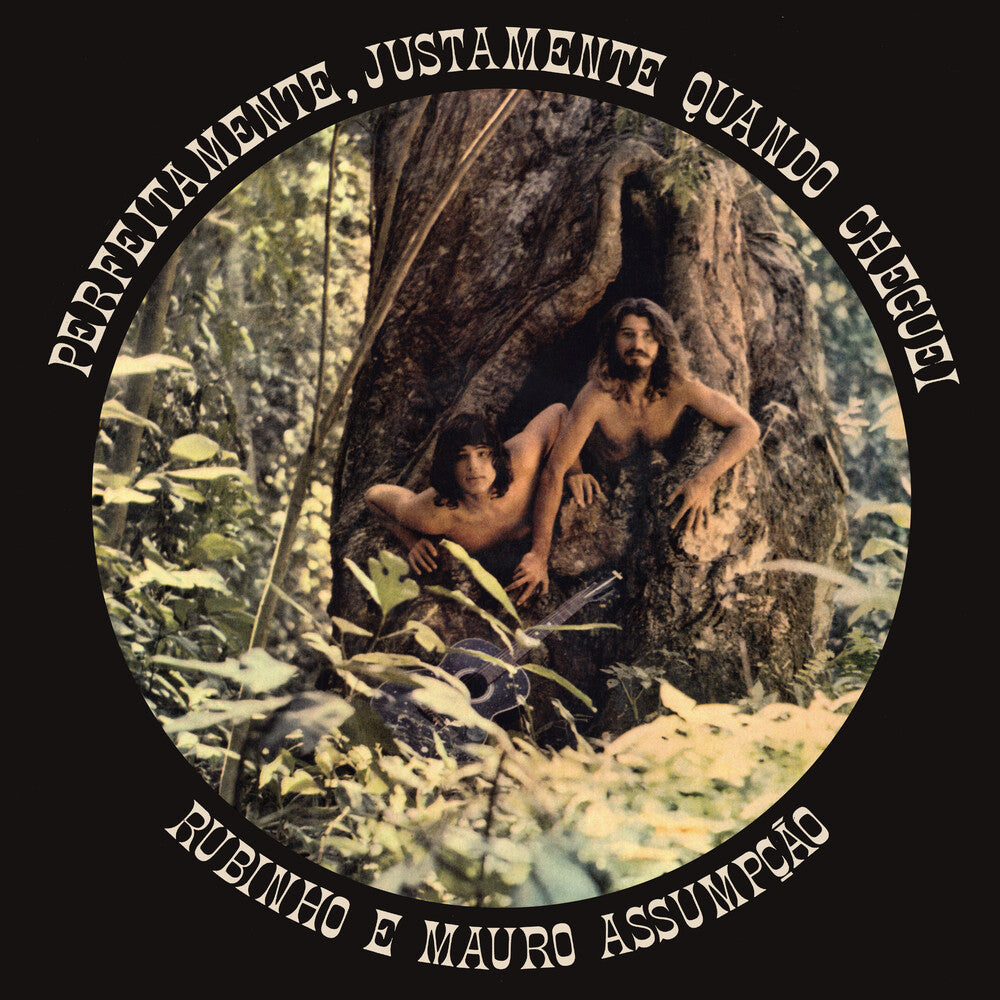 the album cover for Rubinho E Mauro Assumpçao - Perfeitamente Justamente Quando Cheguei