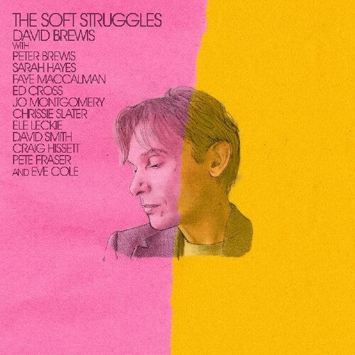 David Brewis - The Soft Struggles Vinyl Record