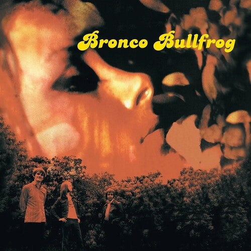 Bronco Bullfrog - Bronco Bullfrog Vinyl Record