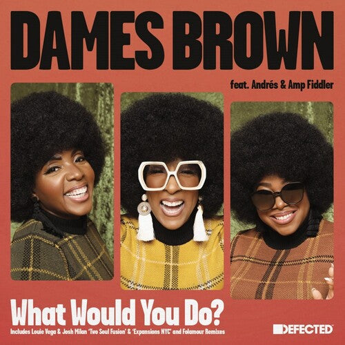 Dames Brown - What Would You Do? (Remixes) Vinyl Record