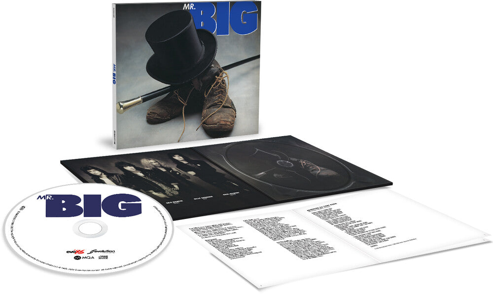 Mr.Big (Mqa-Cd) Music CD