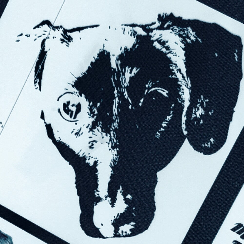 the album cover for Michael Leonhart Orchestra - Denial - O.S.T.