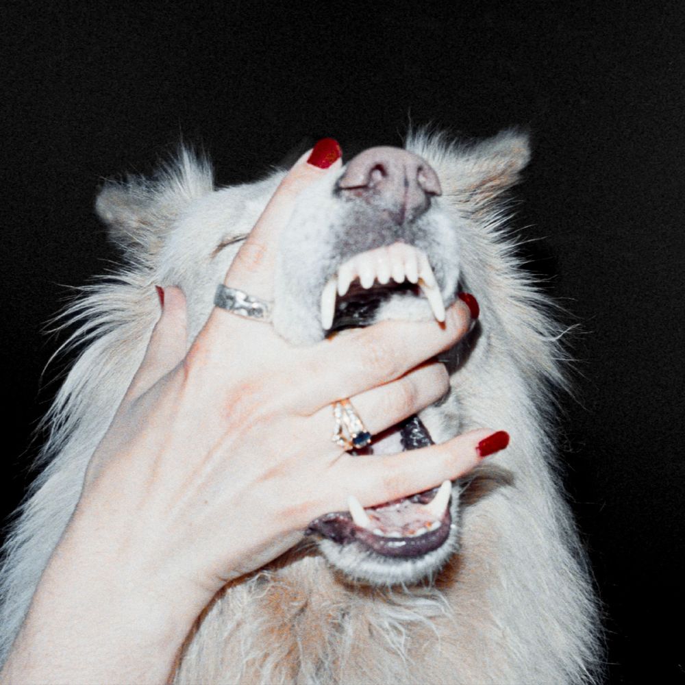 the album cover for Porch Light - Hush