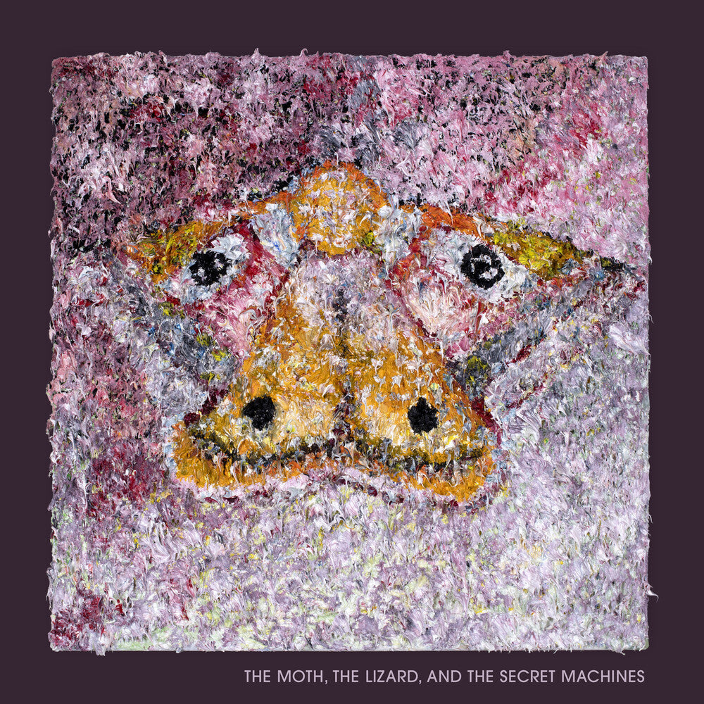 the album cover for Secret Machines - Moth The Lizard & The Secret Machines