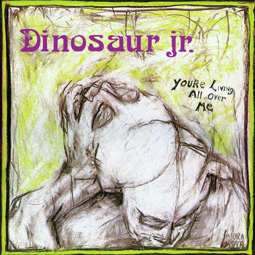 Dinosaur Jr. - You're Living All Over Me Music CD