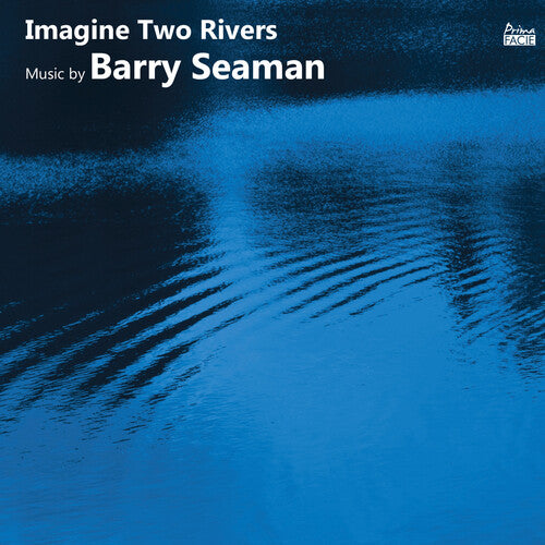 Saracino,francesca / Casey / Honeybourne / Morgan - Imagine Two Rivers: The Music Of Barry Seaman - Music CD