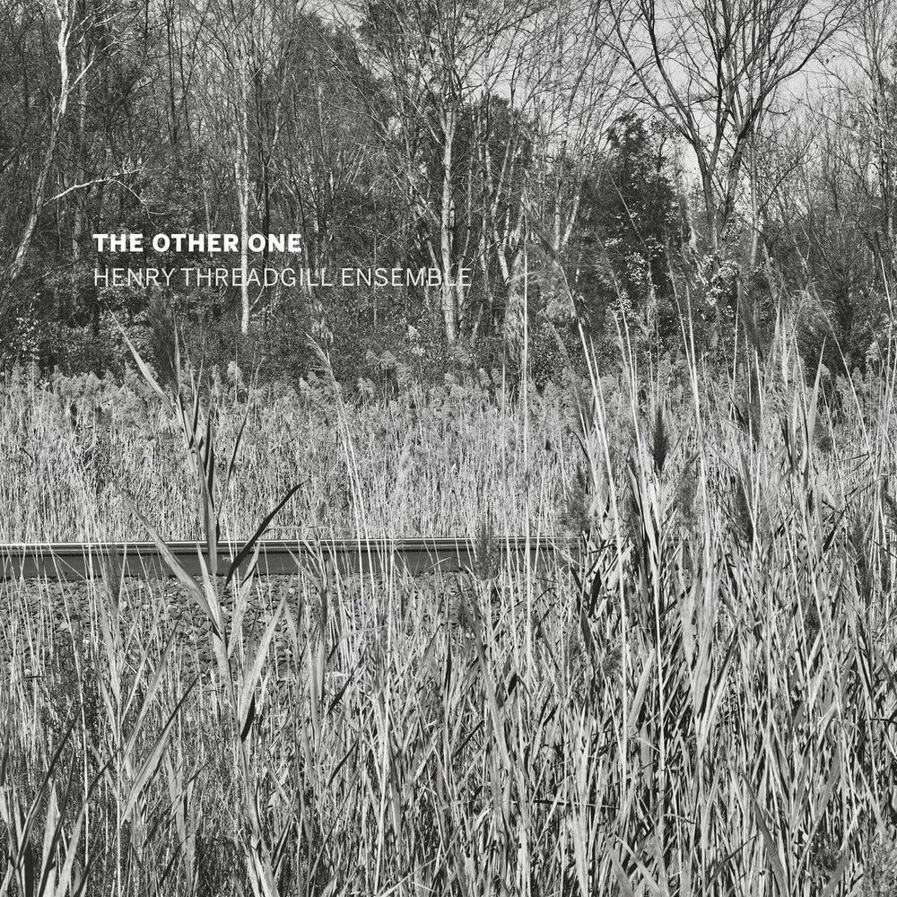 the album cover for Henry Threadgill Ensemble - Other One