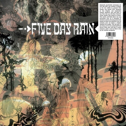 Five Day Rain - Five Day Rain Vinyl Record