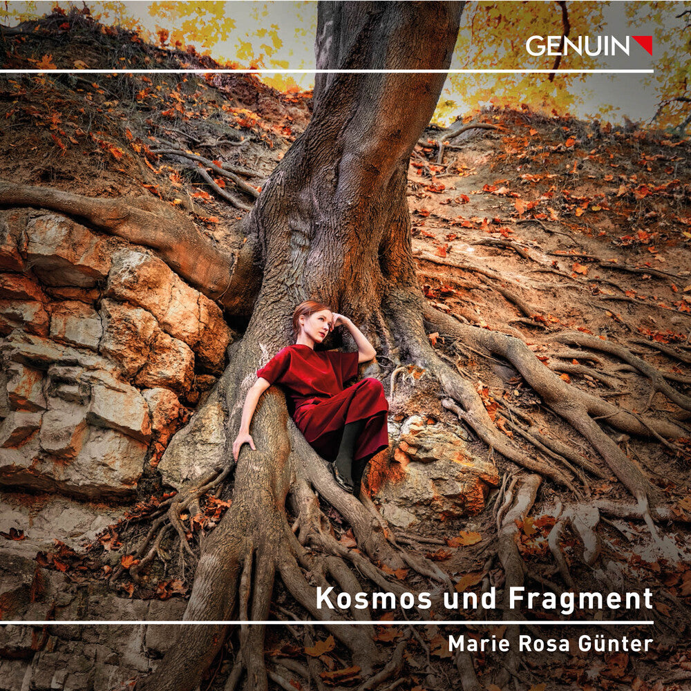the album cover for Kallmeyer / Webern / Beethoven - Kosmos Und Fragment