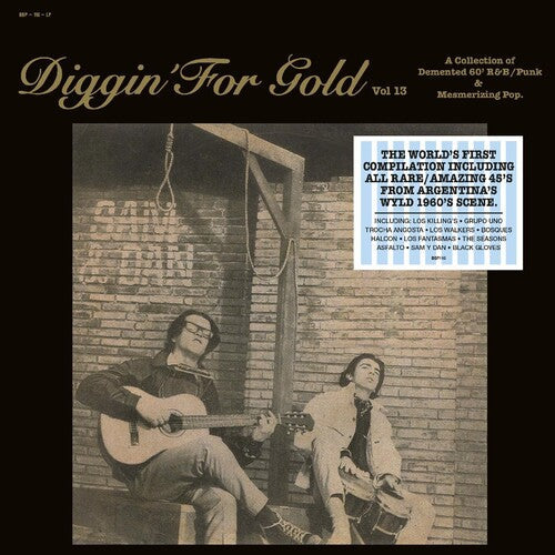 Various Artists - Diggin' For Gold Vol. 13 Vinyl Record