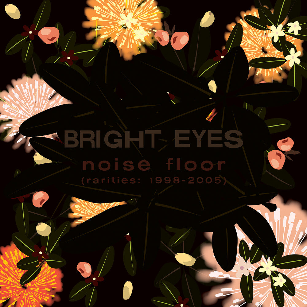 the album cover for Bright Eyes - Noise Floor (Rarities: 1998-2005)
