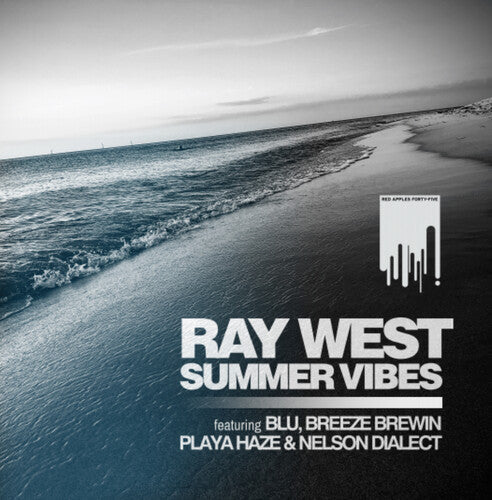 Summer Vibes Vinyl Record