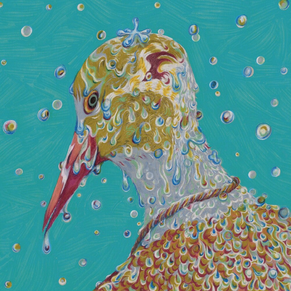 the album cover for Chartreuse - Morning Ritual