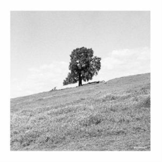 Blank Gloss - Cornered - LP Vinyl Record