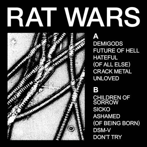 HEALTH - Rat Wars Vinyl Record
