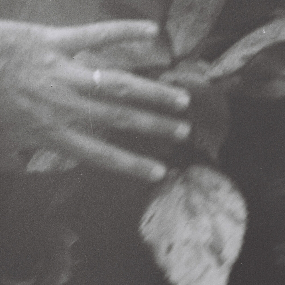 the album cover for Troth - Idle Easel (Ep)