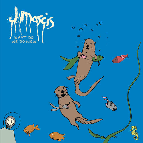 Mascis,j - What Do We Do Now - Music CD