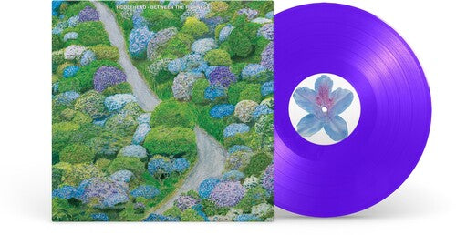 Fiddlehead - Between The Richness - Violet - Vinyl Record