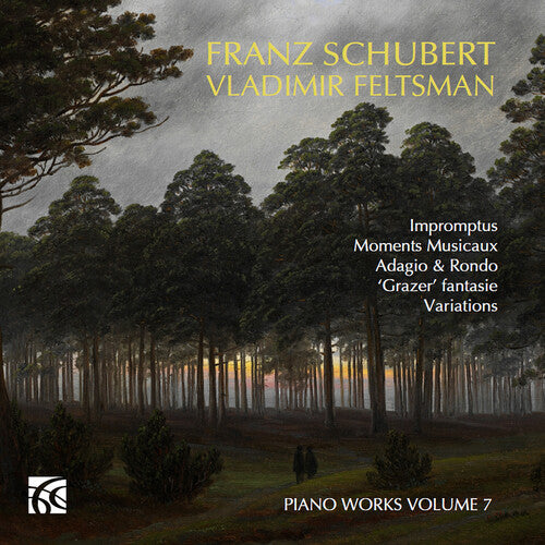 Schubert / Feltsman - Piano Works Vol. 7 - Music CD