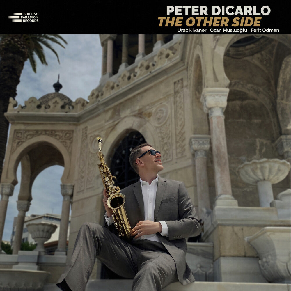 the album cover for Peter Dicarlo - The Other Side