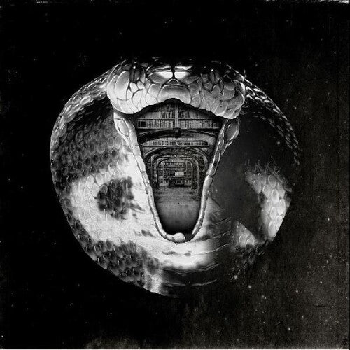 Mommyheads - Genius Killer - Vinyl Record