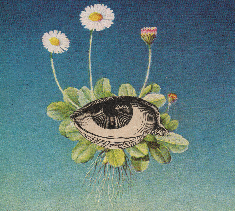 the album cover for Ojerum - Limited Circle Is Pure