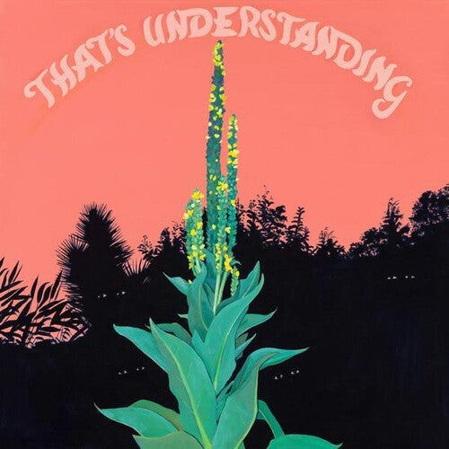 Village of Spaces - That's Understanding Vinyl Record