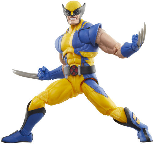 Mvl Legends F24 Anv 1 - Mvl Legends F24 Anv 1 - Collectibles