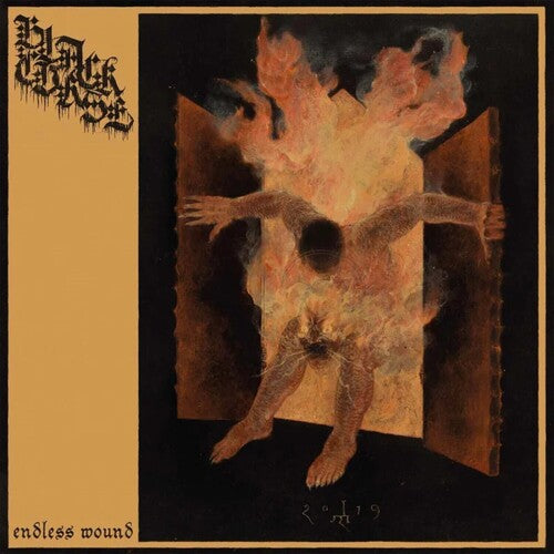 Black Curse - Endless Wound Vinyl Record