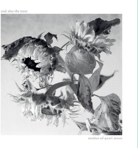 And Also The Trees - Mother-of-pearl Moon - Music CD