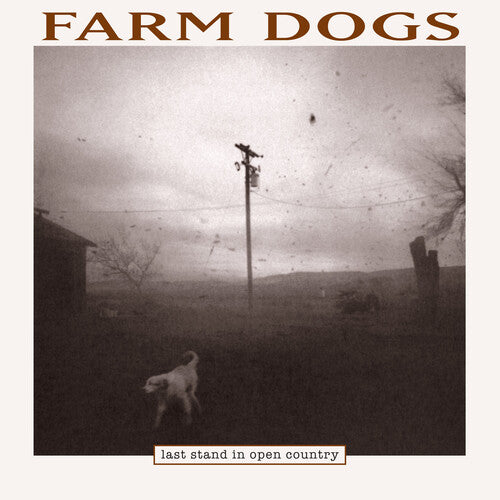 Farm Dogs - Last Stand In Open Country - Vinyl Record