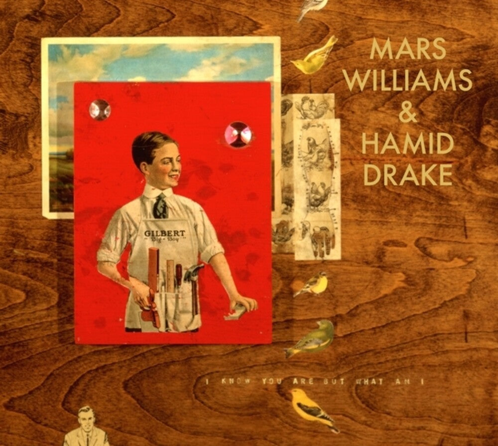 the album cover for Mars Williams / Drake,Hamid - I Know You Are But What Am I (Mars Archive #1)