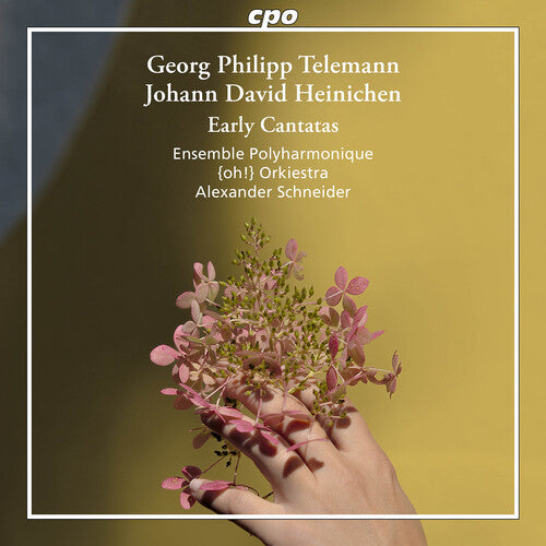Heinichen / Telemann / Ensemble Polyharmonique - Early Cantatas - Music CD
