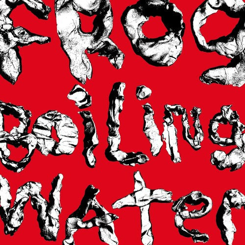 DIIV - Frog In Boiling Water Vinyl Record