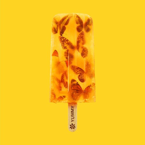 James - Yummy - Music CD